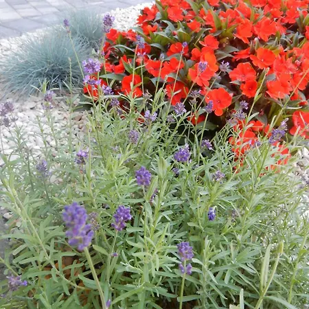 Fruehstueckspension Lach 3* Eberndorf