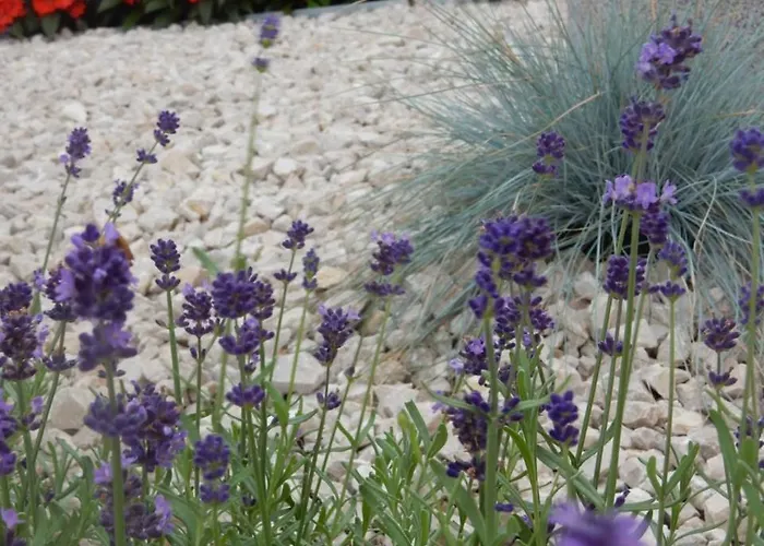 Fruehstueckspension Lach