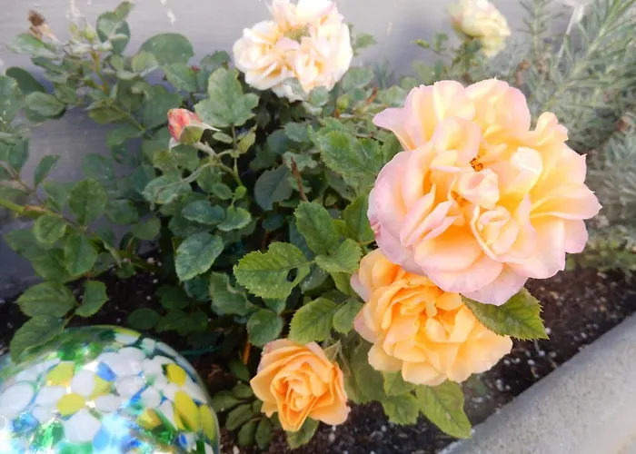 Nocleg ze śniadaniem Fruehstueckspension Lach 3*