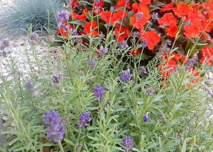 Fruehstueckspension Lach 3* Eberndorf